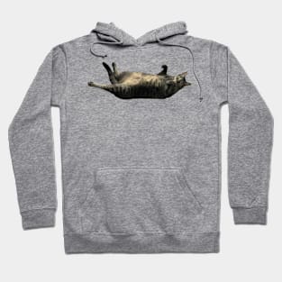 Kitty crunches Hoodie